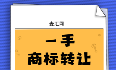 技術轉讓中的知識產權保護 聚焦軟件技術轉讓的關鍵策略與法律考量
