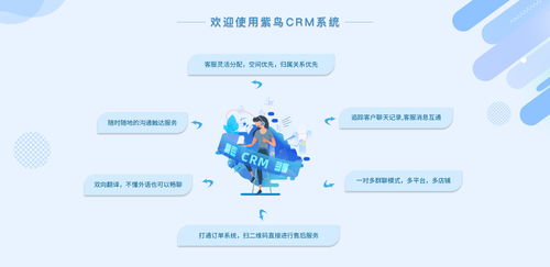 電商行業CRM云客服管理系統選哪家？紫鳥云客服——互聯網信息技術服務的卓越選擇